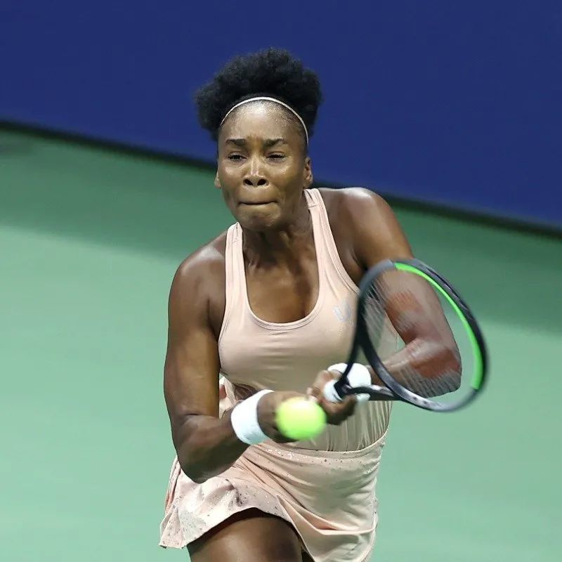 收藏向则可 收藏向则可